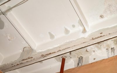 How Emergency Water Damage Restoration Helps Prevent Long-Term Issues
