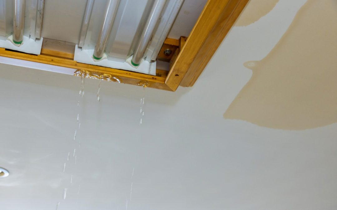 Everything You Need To Know About Emergency Water Remediation In Mountlake Terrace