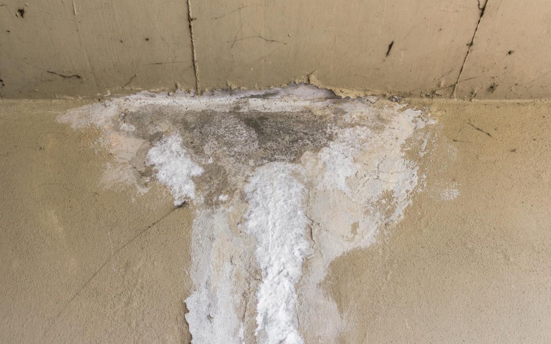 Easy Glitches That Can Lead To Water Damage In Seattle Homes