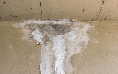 Easy Glitches That Can Lead To Water Damage In Seattle Homes