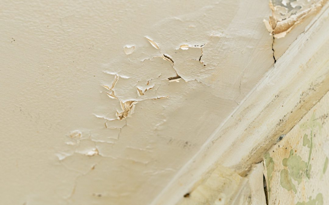 How Water Damage Affects Older Homes in Issaquah