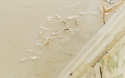 How Water Damage Affects Older Homes in Issaquah