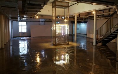 Effective Techniques for Drying Out a Flooded Basement