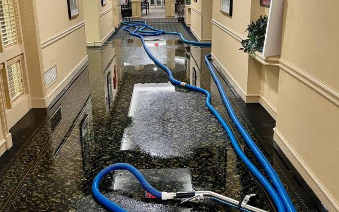 What Is the Process of Water Damage Restoration in Mountlake Terrace?