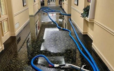 Blogs, Home, Environment Control What Is the Process of Water Damage Restoration in Mountlake Terrace?