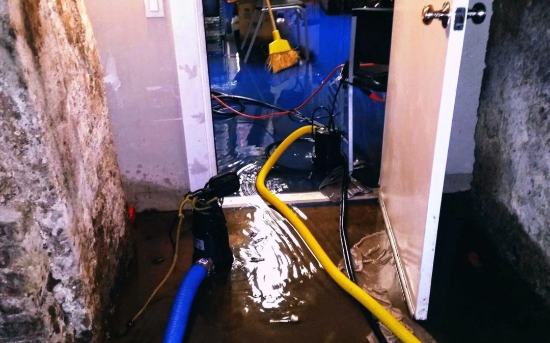 What Are the Most Common Causes of Water Damage in Mountlake Terrace Homes?