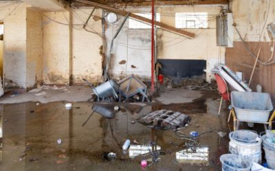 Blogs, Home, Environment Control What Steps Should You Take Immediately After Water Damage in Mountlake Terrace?
