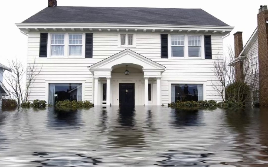 How much does water damage restoration cost in Bellevue, WA?