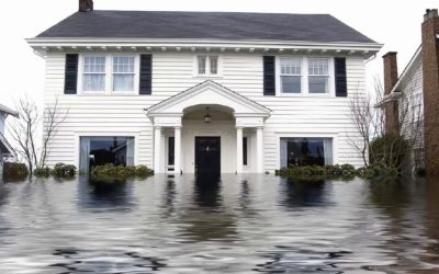 Blogs, Home, Environment Control How much does water damage restoration cost in Bellevue, WA?