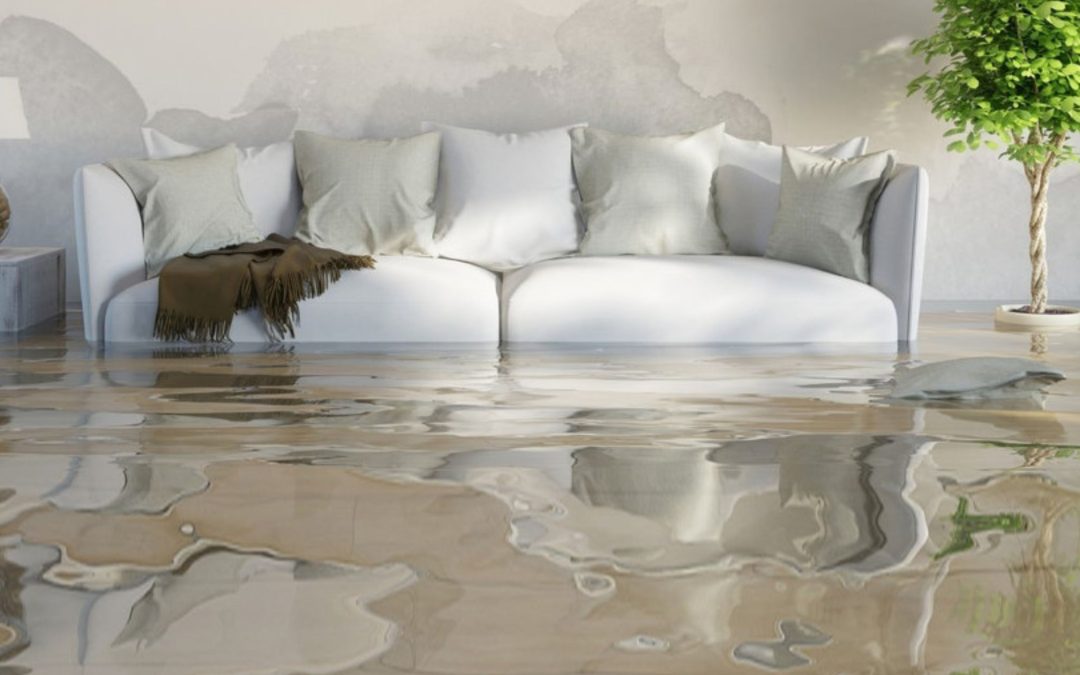 What causes the most common water damage incidents in Bellevue, WA homes?