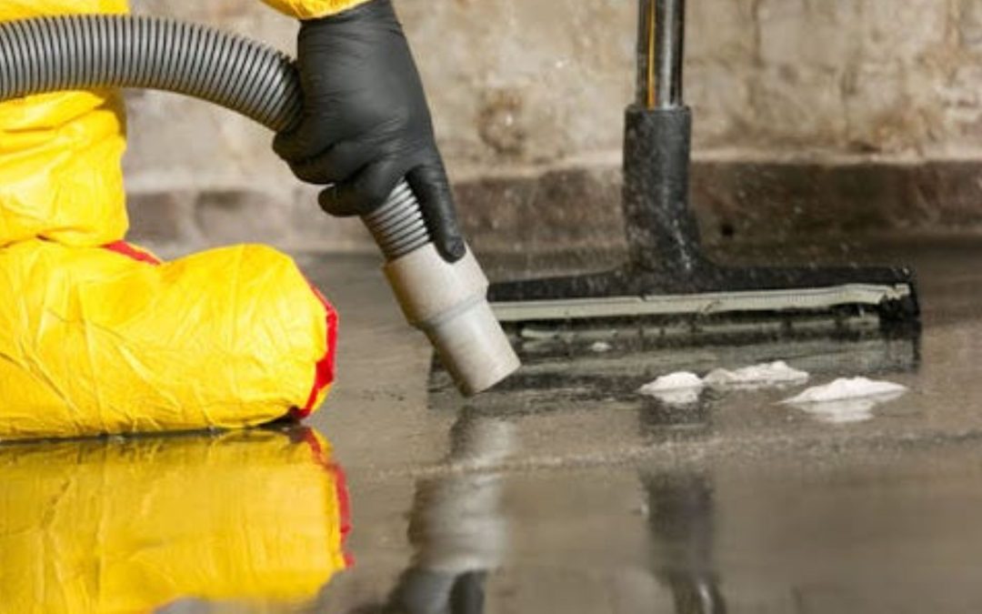 What Is Water Damage Restoration in Seattle and How Does the Process Work?
