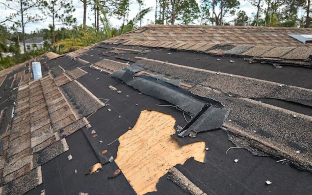 What Are the First Steps to Take After Storm Damage in Seattle, WA?