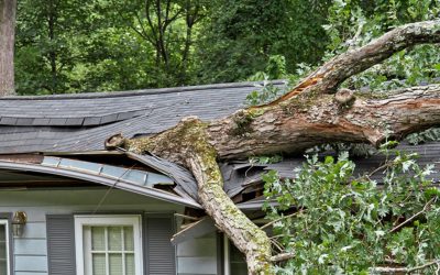 How Much Does Storm Damage Restoration Cost in Seattle, WA?