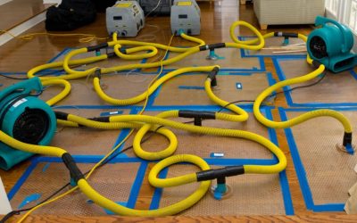 Blogs, Home, Environment Control Can Water Damage Lower Your Bellevue Property Value?