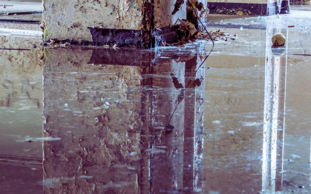Is water damage restoration covered by insurance in Mount Vernon?