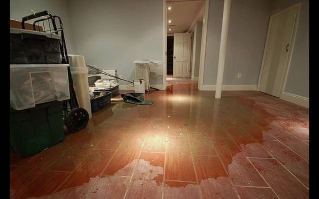 Can water damage in Mount Vernon homes lead to mold growth?