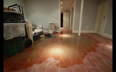 Blogs, Home, Environment Control Can water damage in Mount Vernon homes lead to mold growth?