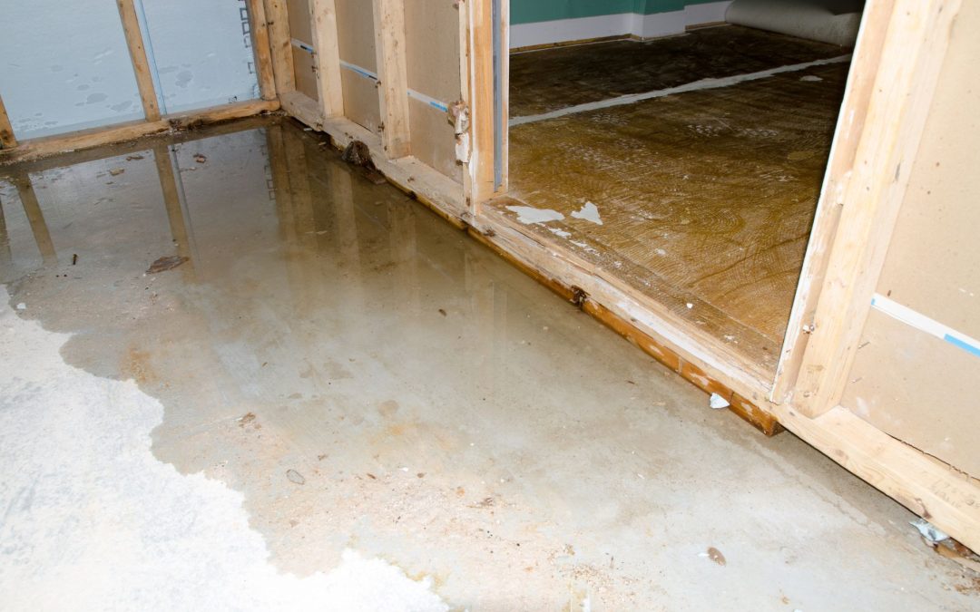 Turn the Tide: Comprehensive Water Damage Restoration in Mountlake Terrace