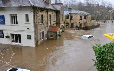 7 Flood Damage Cleanup Myths You Need to Stop Believing