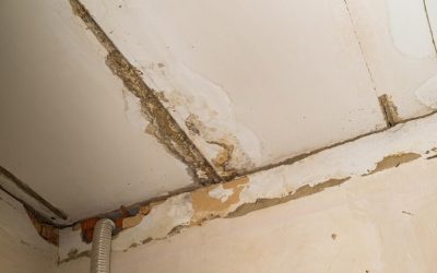 Effective Solutions For Emergency Water Extraction In Mountlake Terrace