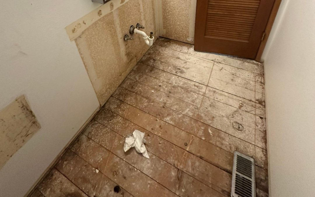 Case Study: Toilet and Drain Leak Water Damage Mitigation in Shoreline, WA