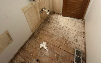Blogs, Home, Environment Control Case Study: Toilet and Drain Leak Water Damage Mitigation in Shoreline, WA