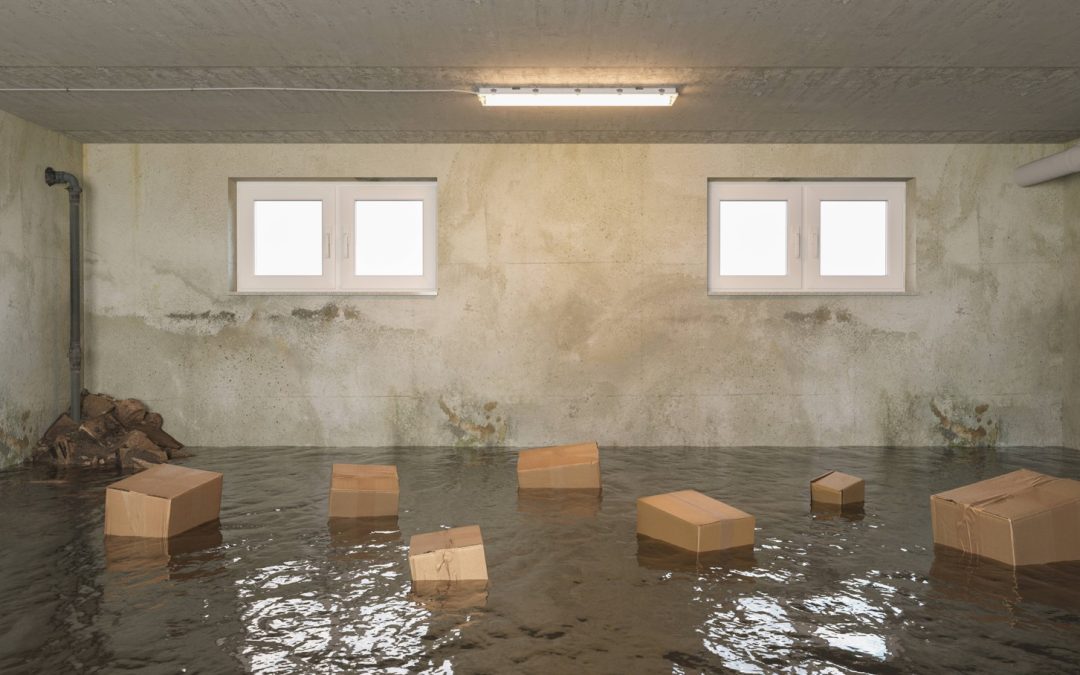 Managing Basement Flooding After Heavy Rains: Expert Tips