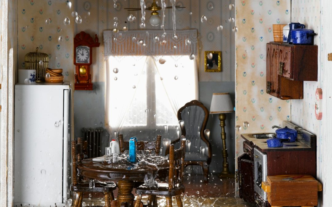 Water Damage Recovery for Bellevue Homes: Tips and Strategies for Effective Restoration