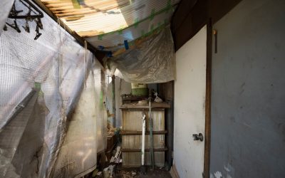 Redmond Restoration: Conquering Water Damage One Property at a Time
