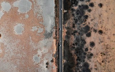 Preventing Health Hazards: Importance of Mold Removal in Bellevue