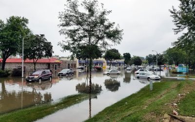 Post-Flood Action Guide: Immediate Steps for Mountlake Terrace Homes & Offices