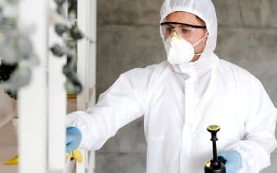 Blogs, Home, Environment Control Uncovering the Advantages of Mold Inspection Services