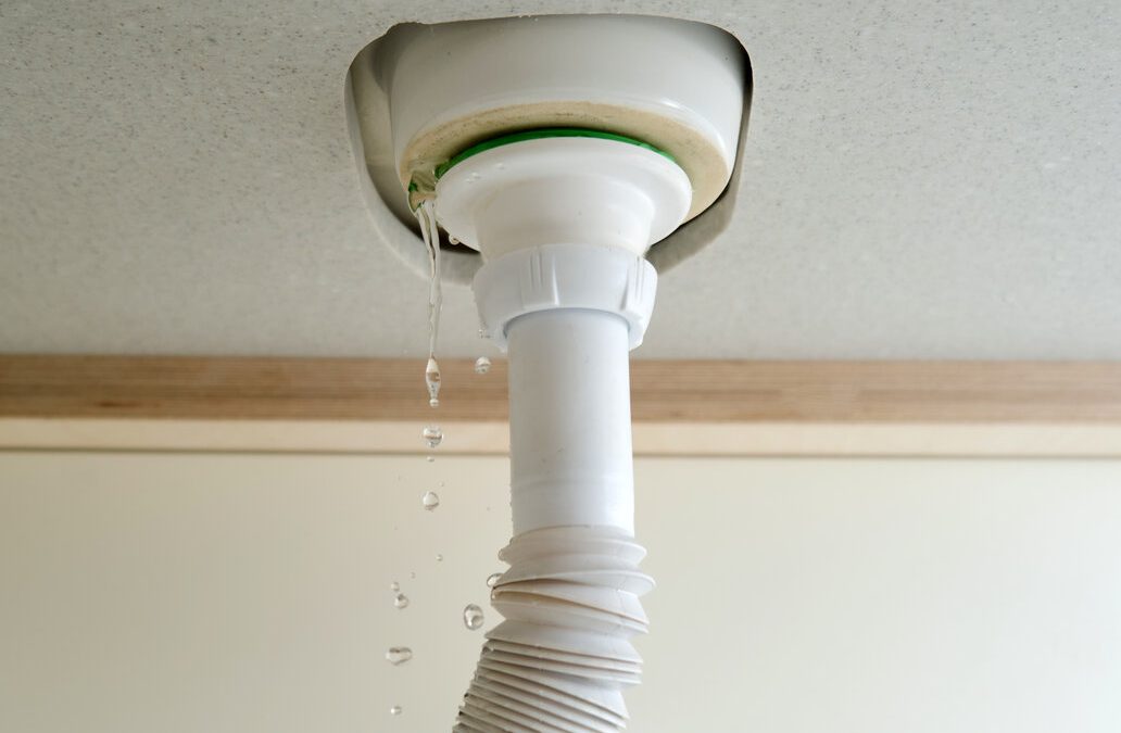 Signs Your Pipes Are at Risk of Bursting and What to Do