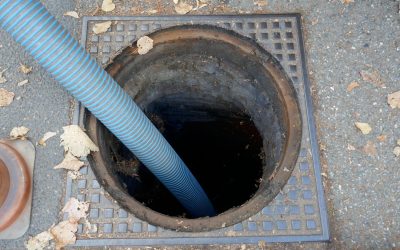 Sewage Cleanup in Bellevue: Ensuring Safety & Health