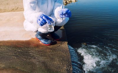 Essential Steps for Water Remediation in Bellevue Offices