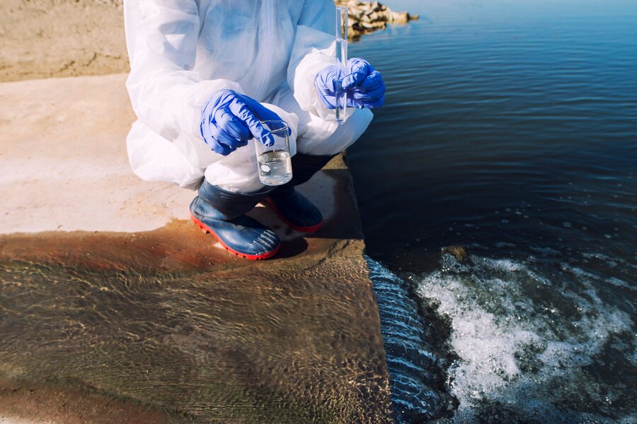 Essential Steps for Water Remediation in Bellevue Offices