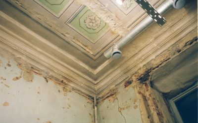 Blogs, Home, Environment Control Mastering Mold Prevention: Strategies for a Healthy Indoor Environment