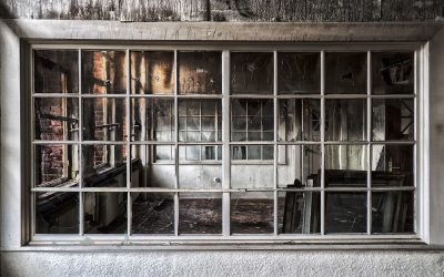 Blogs, Home, Environment Control Fire Damage Recovery for Sammamish Homes: Expert Insights on Restoration and Prevention